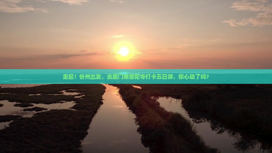 忻州到厦门南普陀五日游