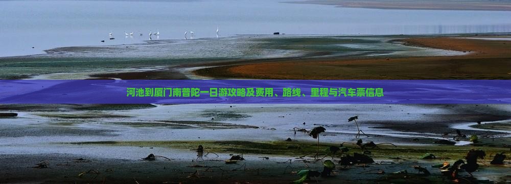 河池到厦门南普陀一日