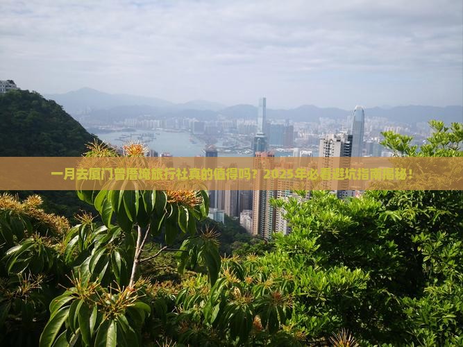一月去厦门曾厝埯旅行社