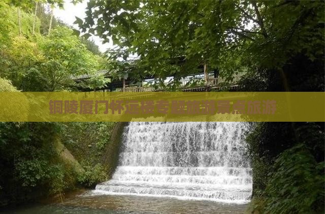 铜陵去厦门怀远楼大型旅游团