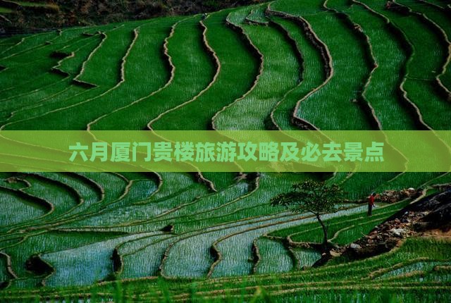 六月去厦门和贵楼旅游