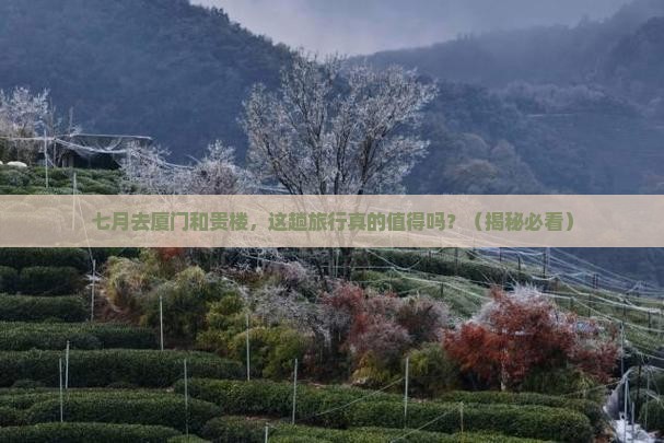 七月到厦门和贵楼个人游