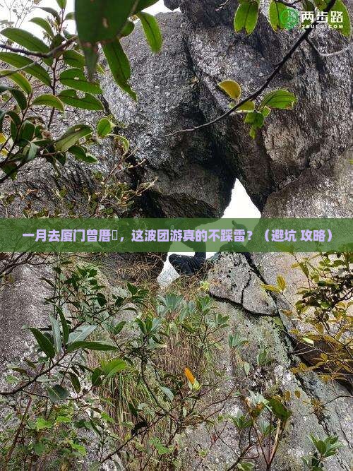 一月到厦门曾厝埯团体旅游
