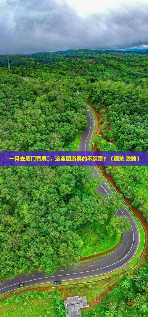 一月到厦门曾厝埯团体旅游