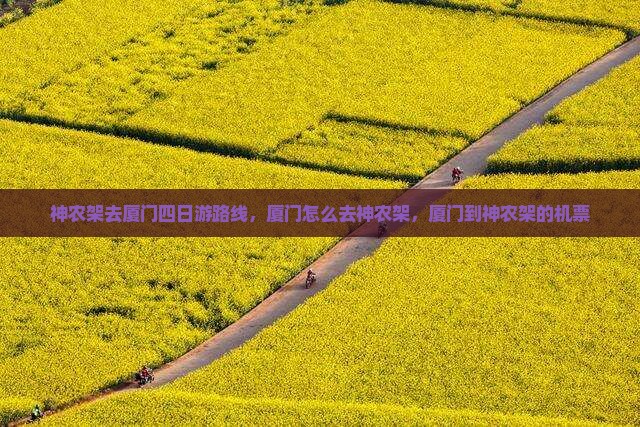 神农架去厦门四日游