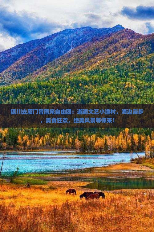 银川去厦门曾厝埯自由团