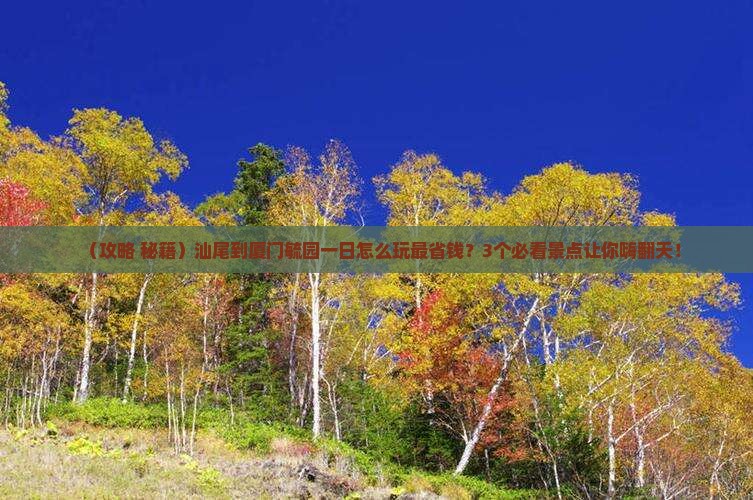 汕尾到厦门毓园一日