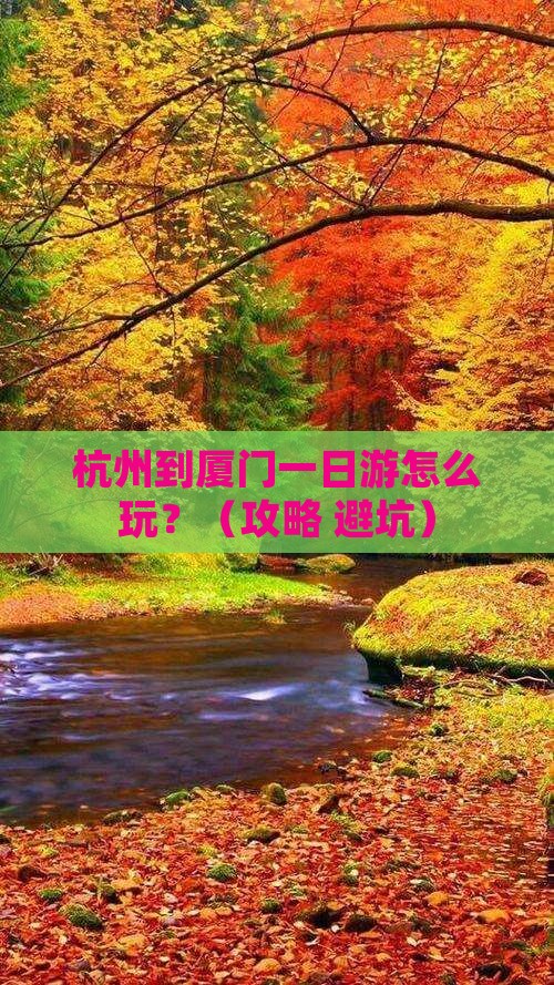 杭州到厦门一日