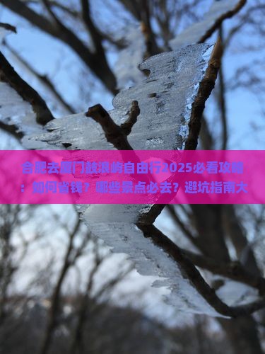 合肥去厦门鼓浪屿自由行