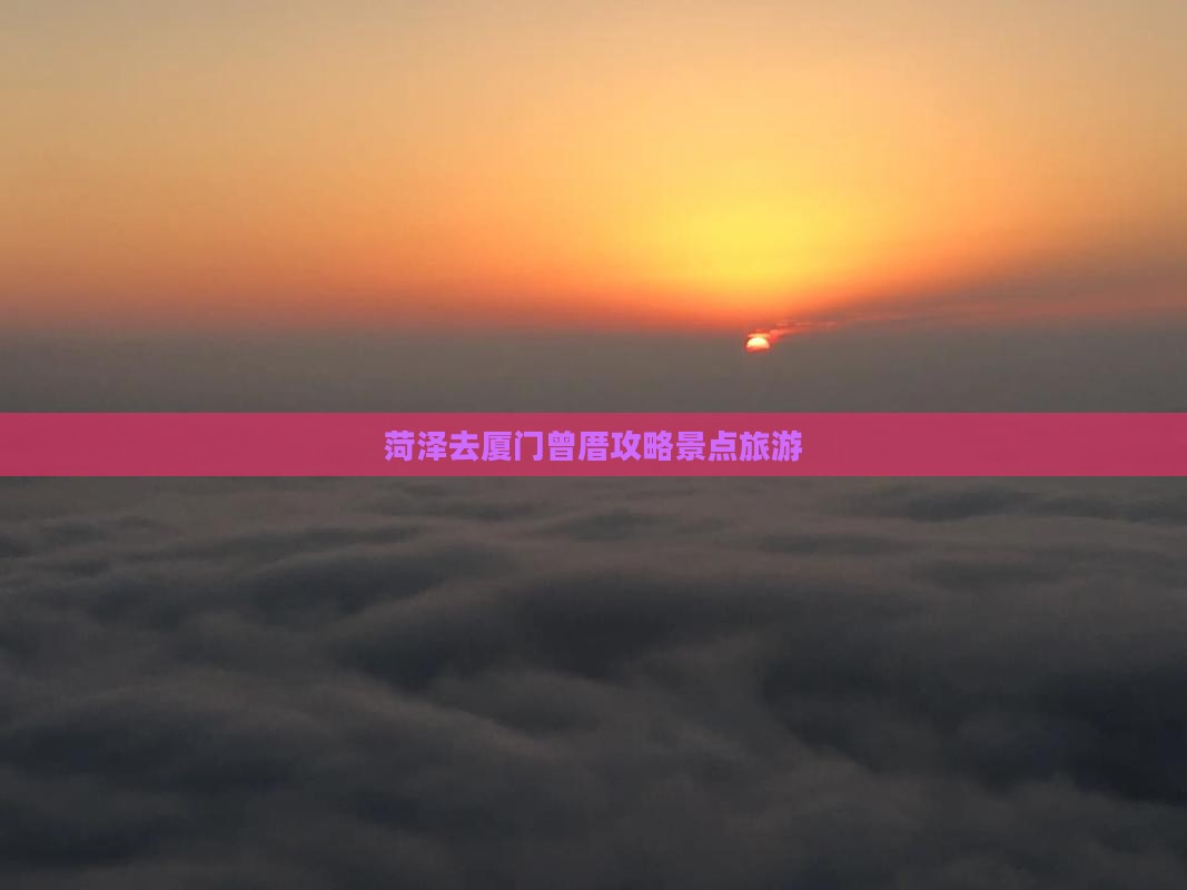 菏泽去厦门曾厝埯旅行社
