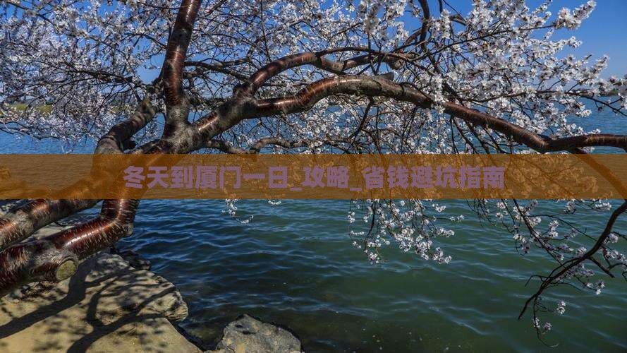 冬天到厦门一日