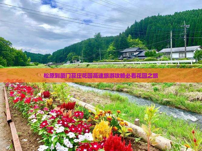 松原到厦门菽庄花园旅行社