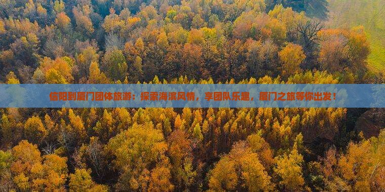 信阳到厦门团体旅游