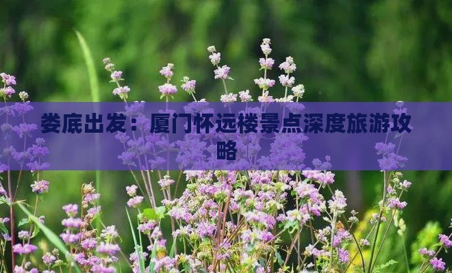 娄底出发：厦门怀远楼景点深度旅游攻略