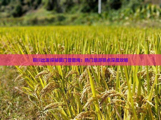 铜川出发探秘厦门曾厝埯：热门旅游景点深度攻略