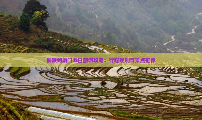 铜陵到厦门五日旅游攻略：行程规划与景点推荐