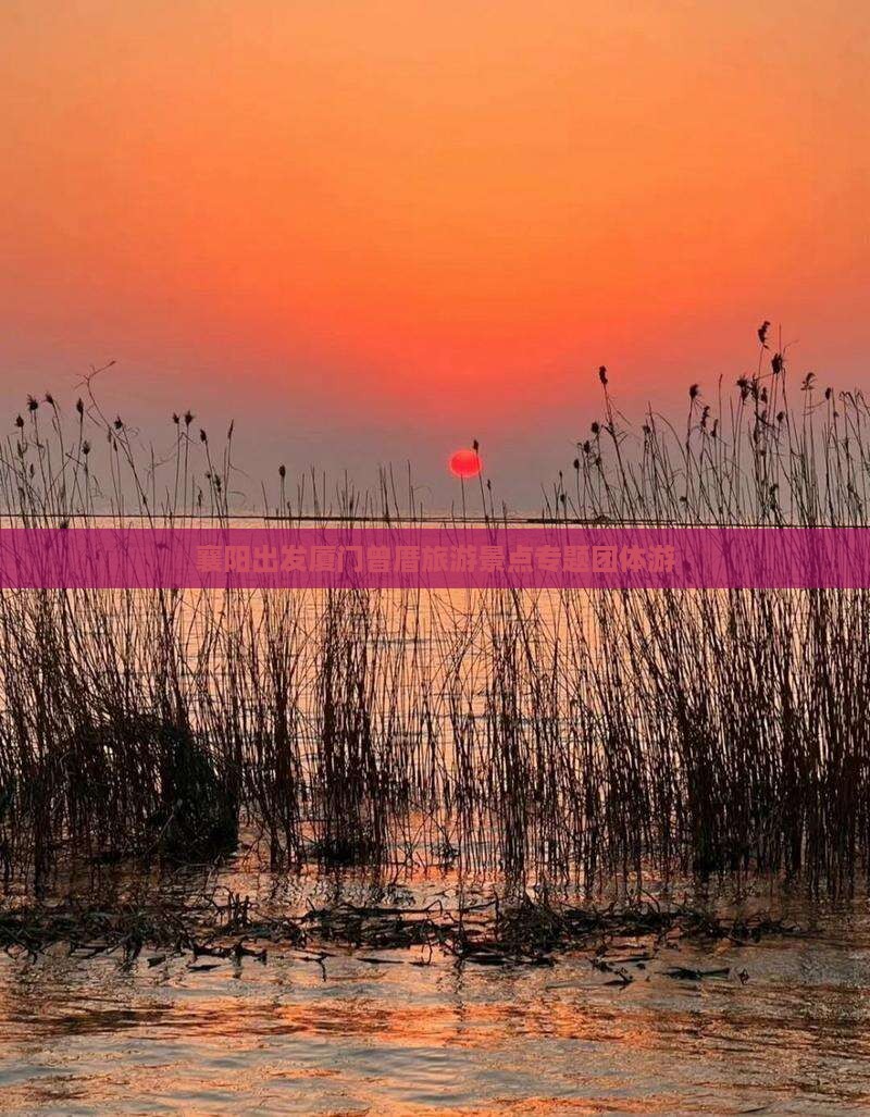 襄阳出发厦门曾厝旅游景点专题团体游