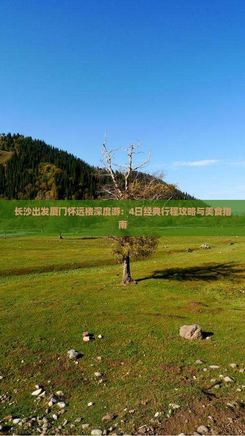 长沙出发厦门怀远楼深度游：4日经典行程攻略与美食指南
