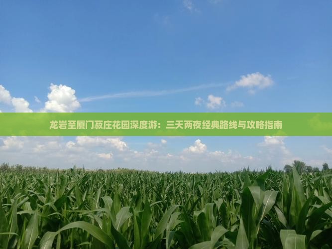 龙岩至厦门菽庄花园深度游：三天两夜经典路线与攻略指南