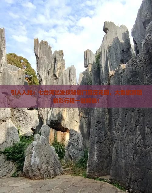 引人入胜：七台河出发探秘厦门菽庄花园，大型旅游团精彩行程一键解锁！