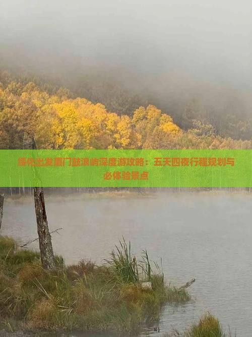 绥化出发厦门鼓浪屿深度游攻略：五天四夜行程规划与必体验景点