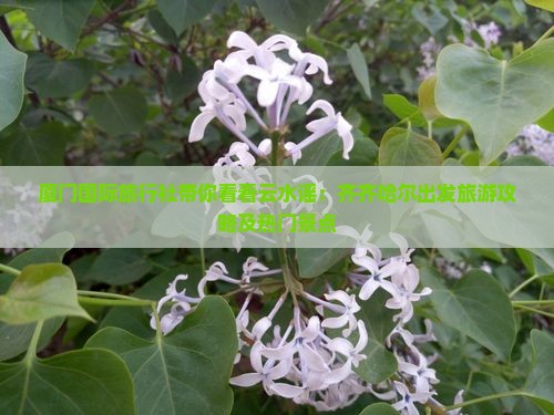 厦门国际旅行社带你看看云水谣：齐齐哈尔出发旅游攻略及热门景点