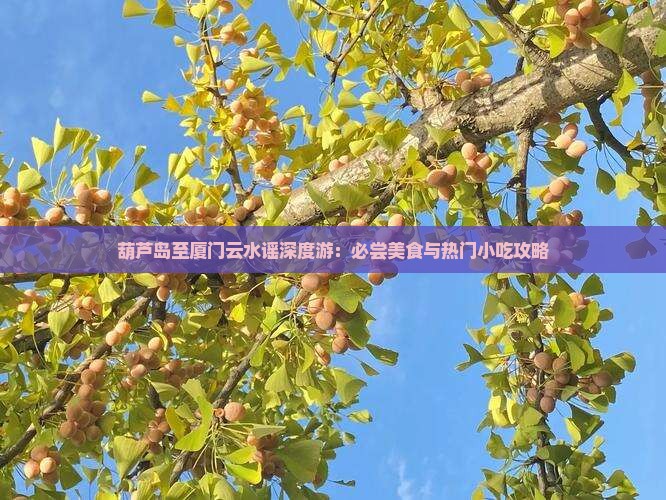 葫芦岛至厦门云水谣深度游：必尝美食与热门小吃攻略