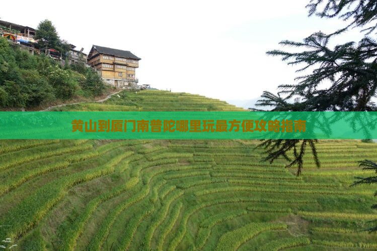 黄山到厦门南普陀哪里玩最方便攻略指南