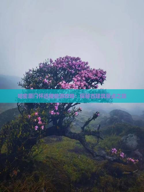 哈密厦门怀远楼旅游攻略：探秘古建筑景点之旅