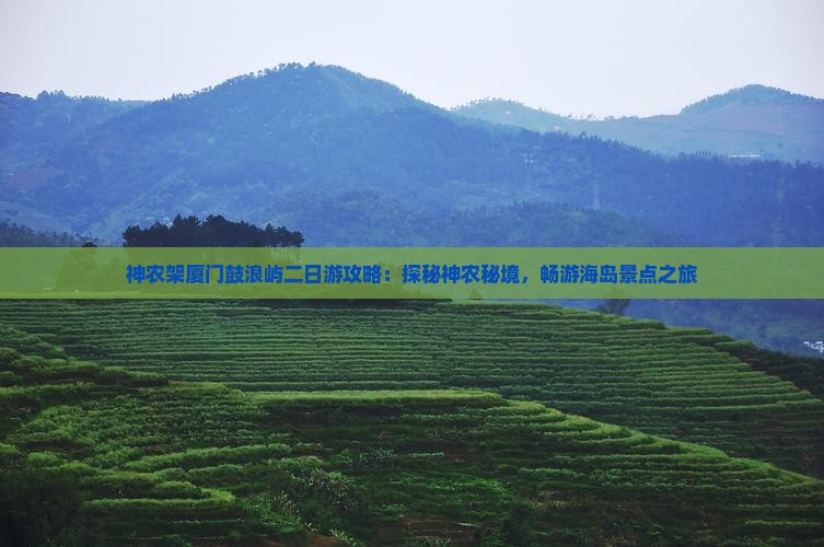 神农架厦门鼓浪屿二日游攻略：探秘神农秘境，畅游海岛景点之旅