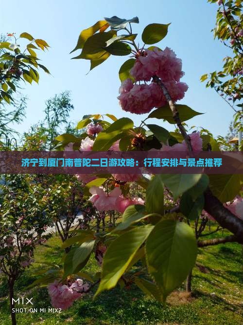 济宁到厦门南普陀二日游攻略：行程安排与景点推荐