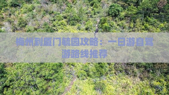 梅州到厦门毓园攻略：一日游自驾游路线推荐
