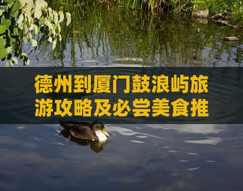 德州到厦门鼓浪屿旅游攻略及必尝美食推荐