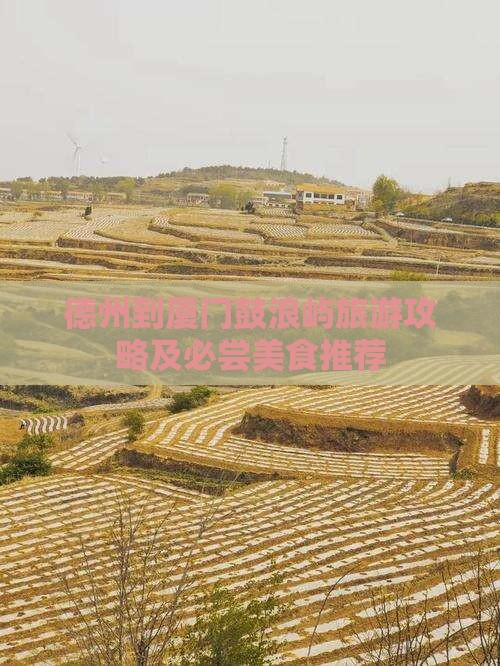 德州到厦门鼓浪屿旅游攻略及必尝美食推荐