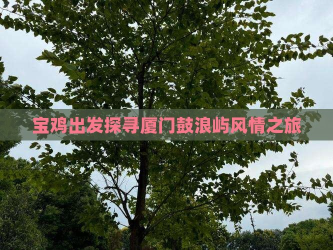 宝鸡出发探寻厦门鼓浪屿风情之旅 宝鸡出发探寻厦门鼓浪屿风情之旅