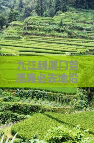 九江到厦门曾厝埯必去地沿途景点及最近路线
