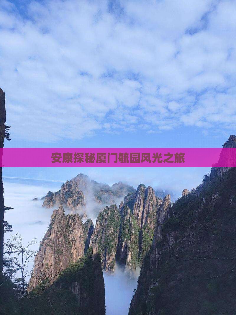 安康探秘厦门毓园风光之旅
