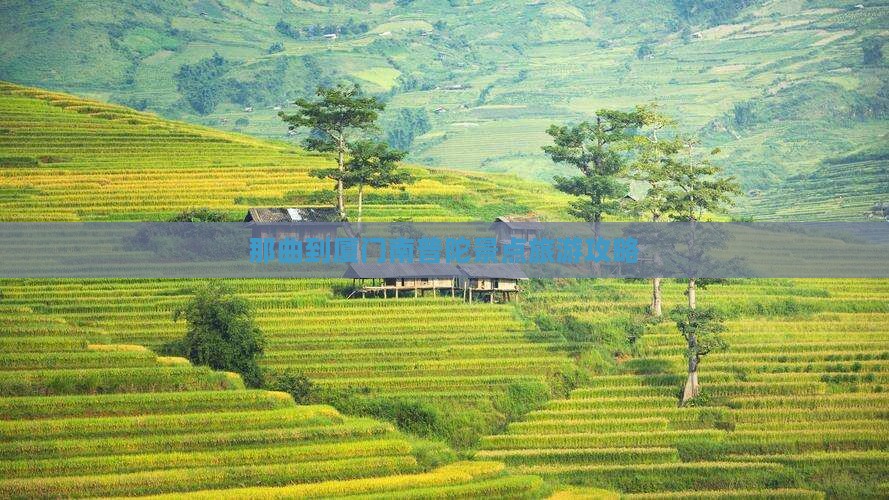 那曲到厦门南普陀景点旅游攻略