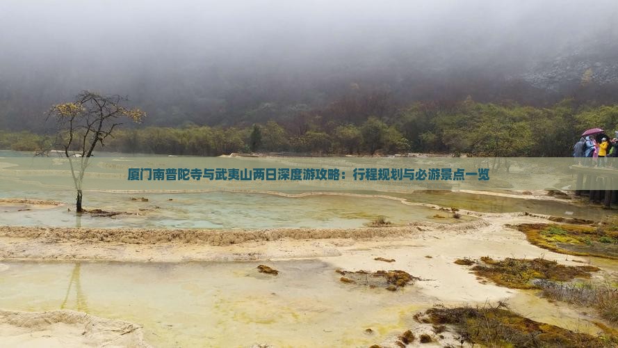 厦门南普陀寺与武夷山两日深度游攻略：行程规划与必游景点一览