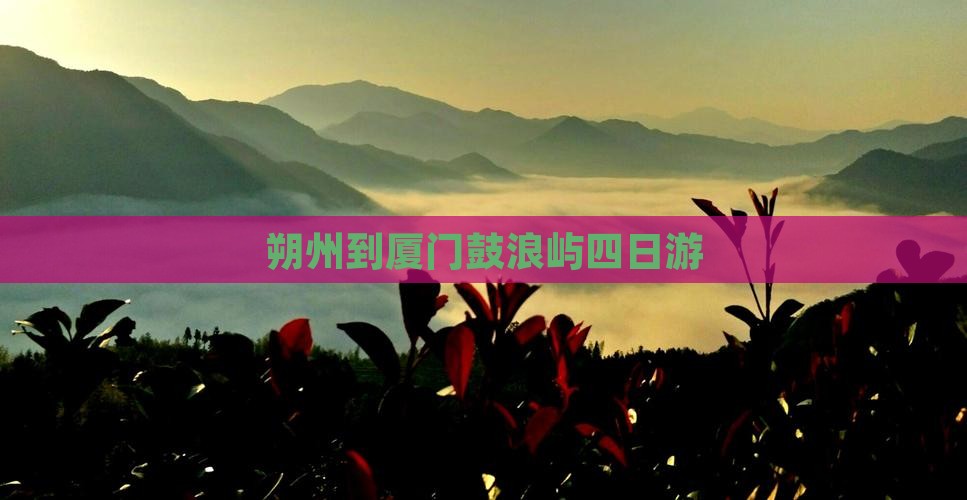 朔州到厦门鼓浪屿四日游 朔州到厦门鼓浪屿四日游