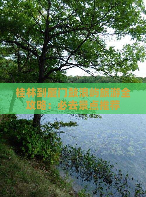 桂林到厦门鼓浪屿旅游全攻略：必去景点推荐
