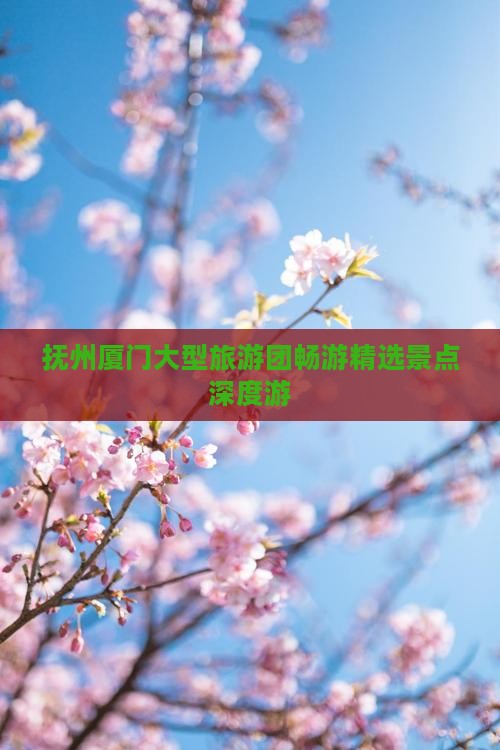抚州厦门大型旅游团畅游精选景点深度游