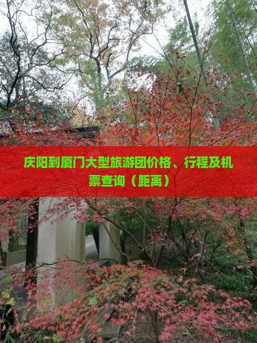 庆阳到厦门大型旅游团价格、行程及机票查询（距离）