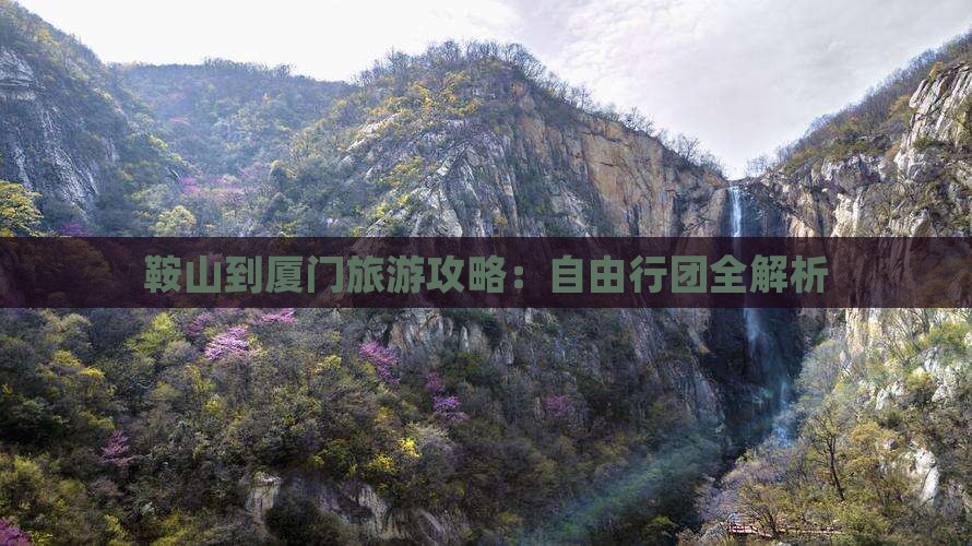鞍山到厦门旅游攻略：自由行团全解析