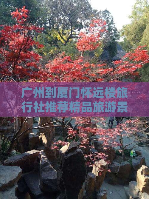 广州到厦门怀远楼旅行社推荐精品旅游景点