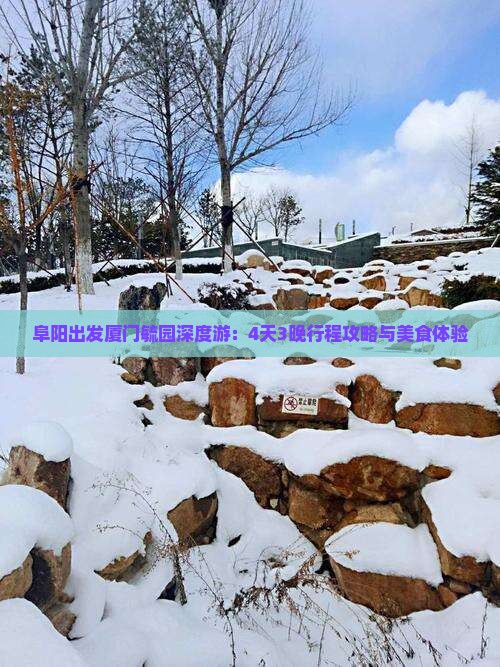 阜阳出发厦门毓园深度游：4天3晚行程攻略与美食体验