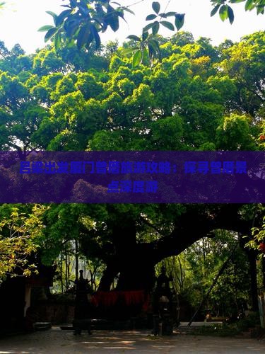 吕梁出发厦门曾厝旅游攻略：探寻曾厝景点深度游