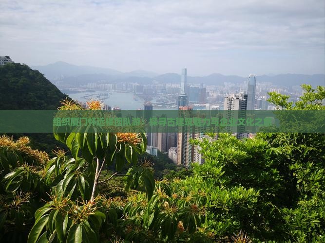 组织厦门怀远楼团队游：探寻古建筑魅力与企业文化之旅