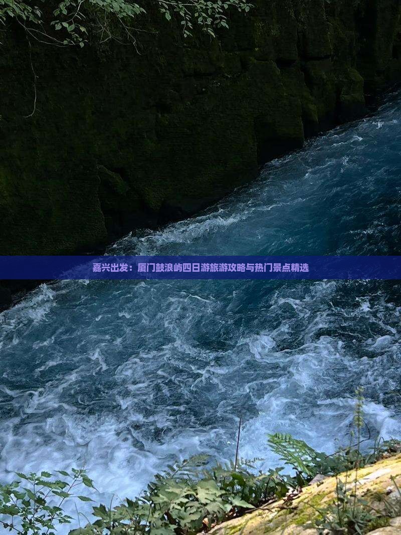 嘉兴出发：厦门鼓浪屿四日游旅游攻略与热门景点精选