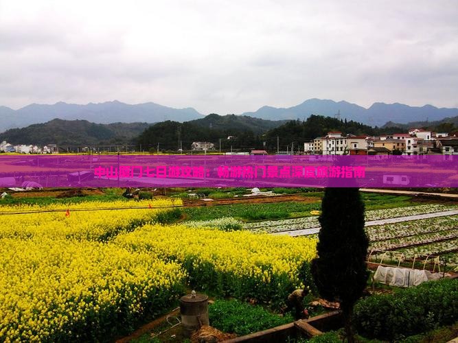 中山厦门七日游攻略：畅游热门景点深度旅游指南